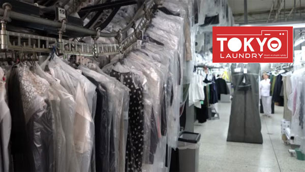 Dung môi giặt khô liệu có an toàn?