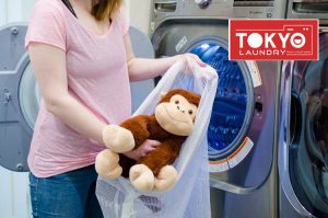 Tiệm giặt là gấu bông hà nội