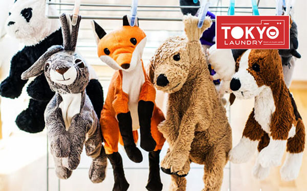 Tiệm giặt là gấu bông chất lượng