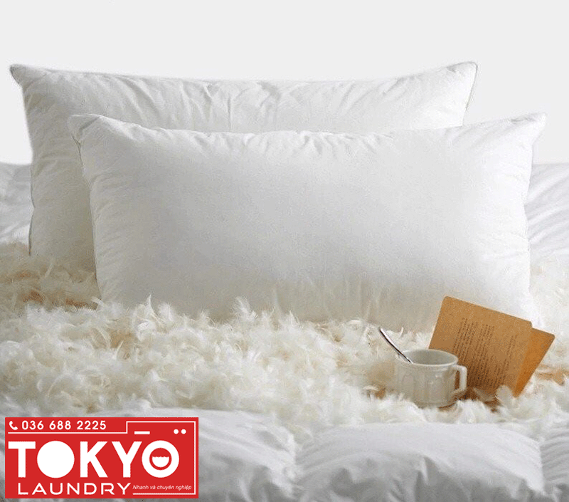giặt gối lông vũ an toàn