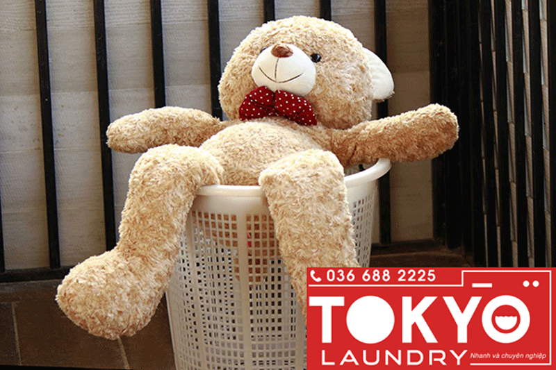 cách giặt gấu bông bằng máy giặt