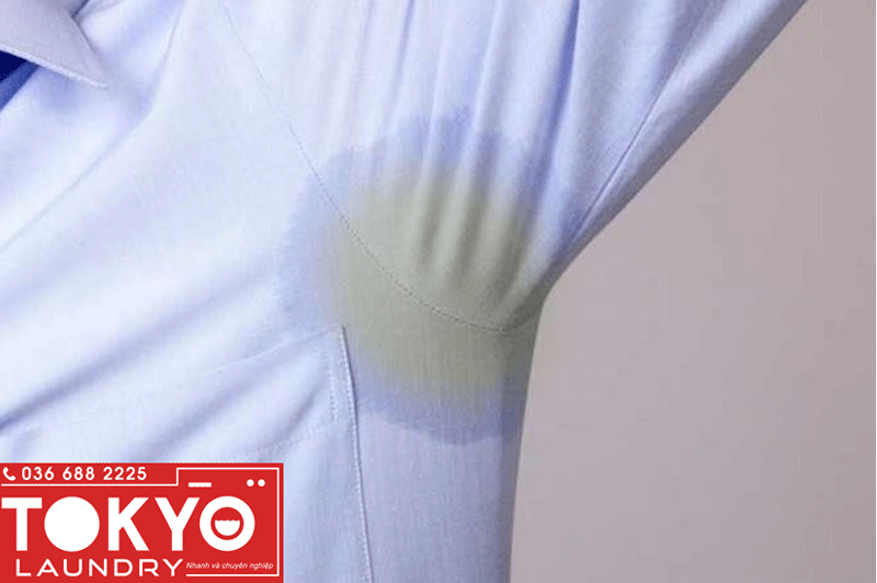Cách loại bỏ vệt ố vàng trên áo sơ mi trắng