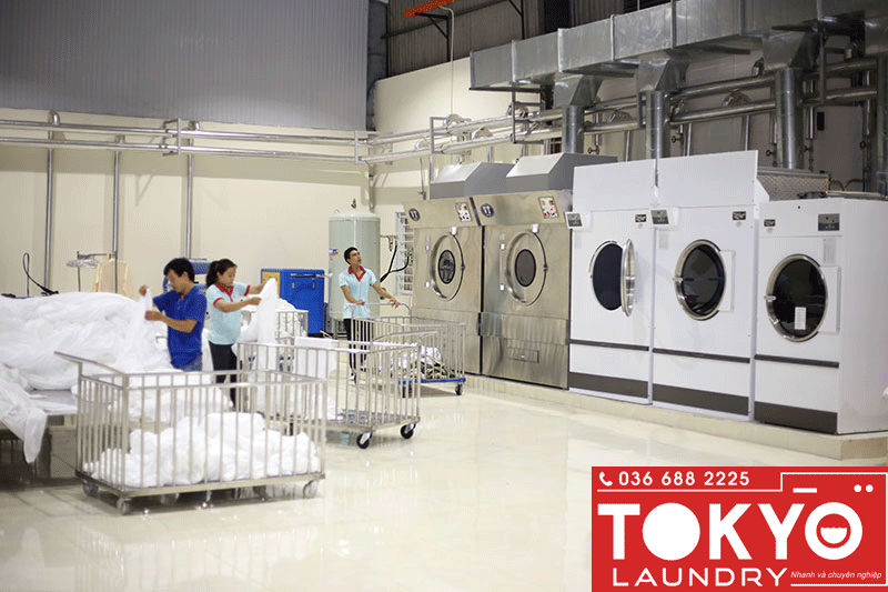 Dịch vụ giặt là thẩm mỹ viện, Spa, Gym, Massage