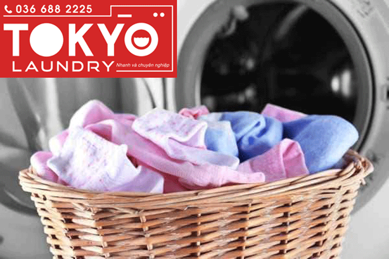 Dịch vụ giặt ướt sấy khô uy tín 