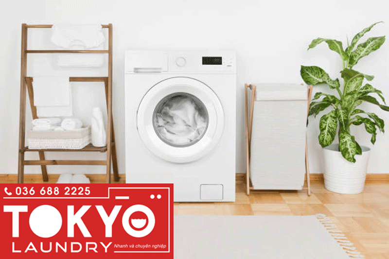 Dịch vụ giặt hâp uy tín