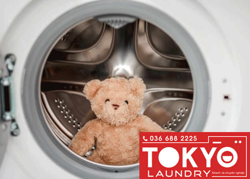 quy trình giặt gấu