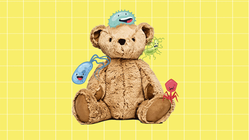 Bảng giá giặt sấy, giặt khô gấu nhồi bông uy tín 