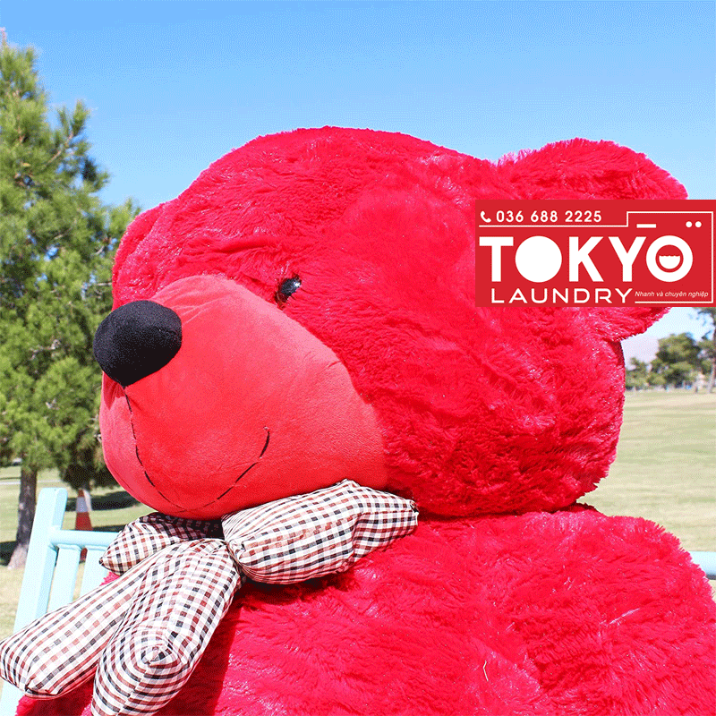 Cách giặt gấu bông lớn đơn giản