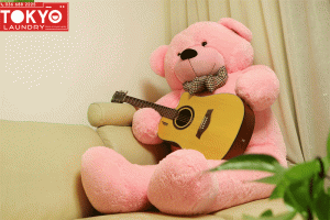 Dịch vụ giặt gấu bông, thú nhồi bông