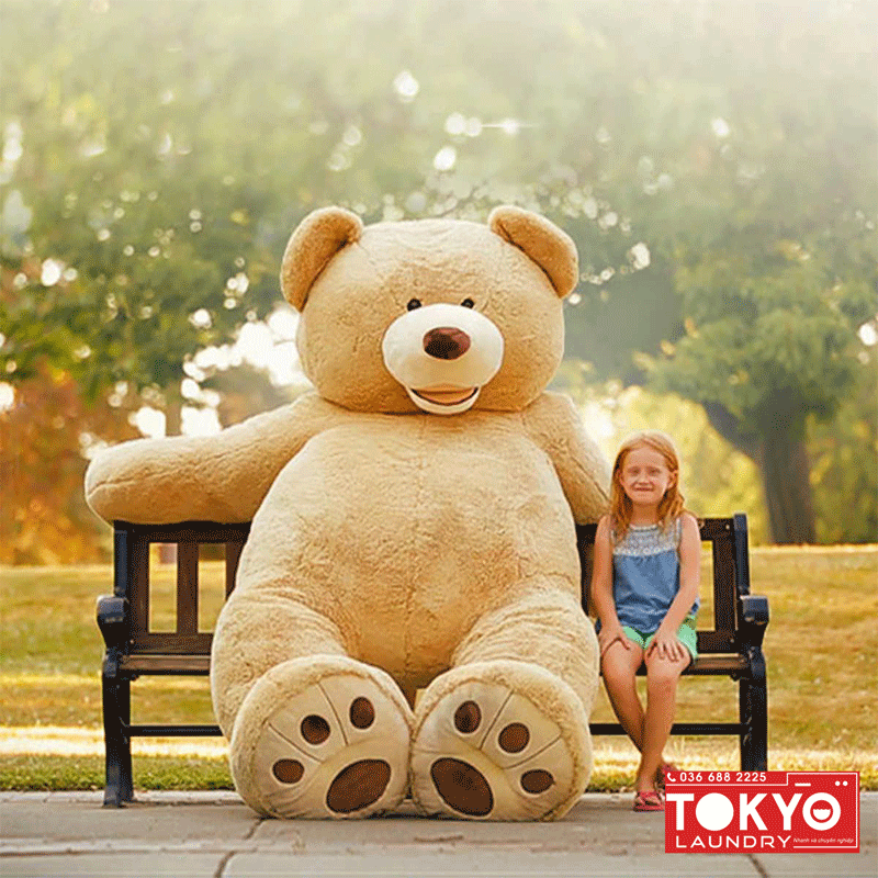 Dịch vụ giặt gấu bông, thú nhồi bông giá rẻ