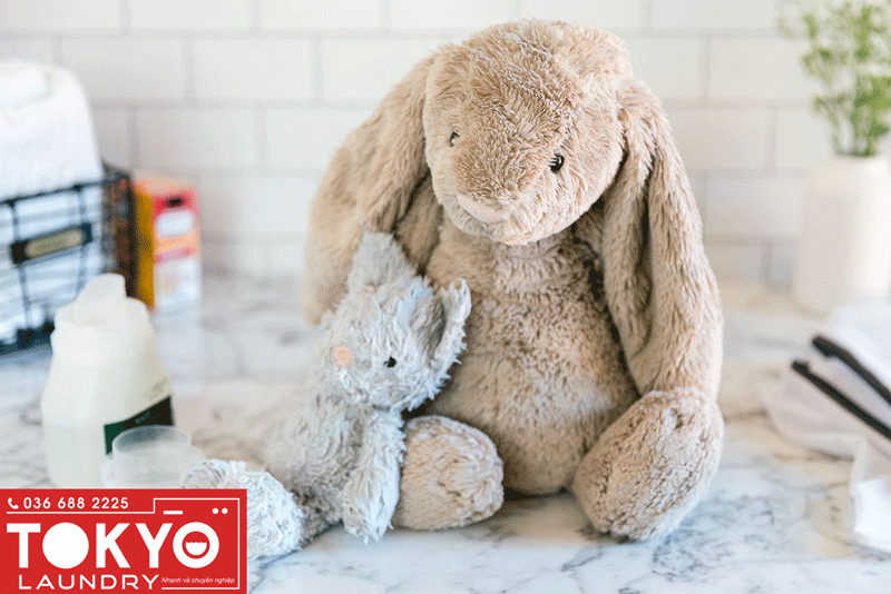 giặt gấu nhồi bông ở đâu uy tín?