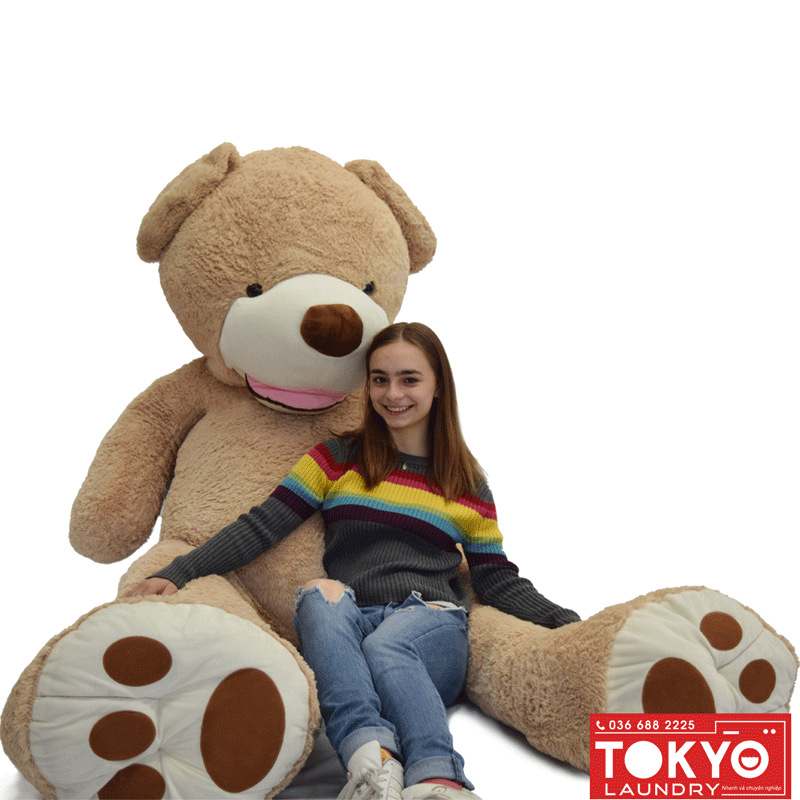 cam kết chất lượng