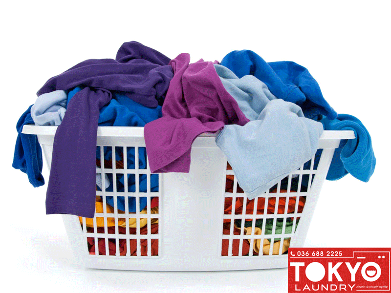 Sắp xếp phân loại