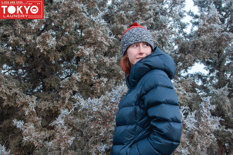 Dịch vụ giặt áo lông vũ