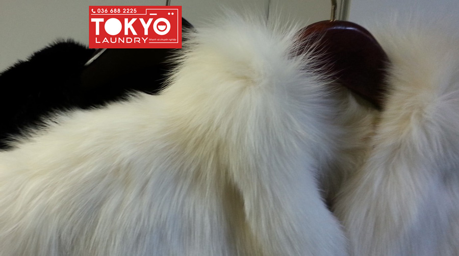 Tiệm giặt khô uy tín