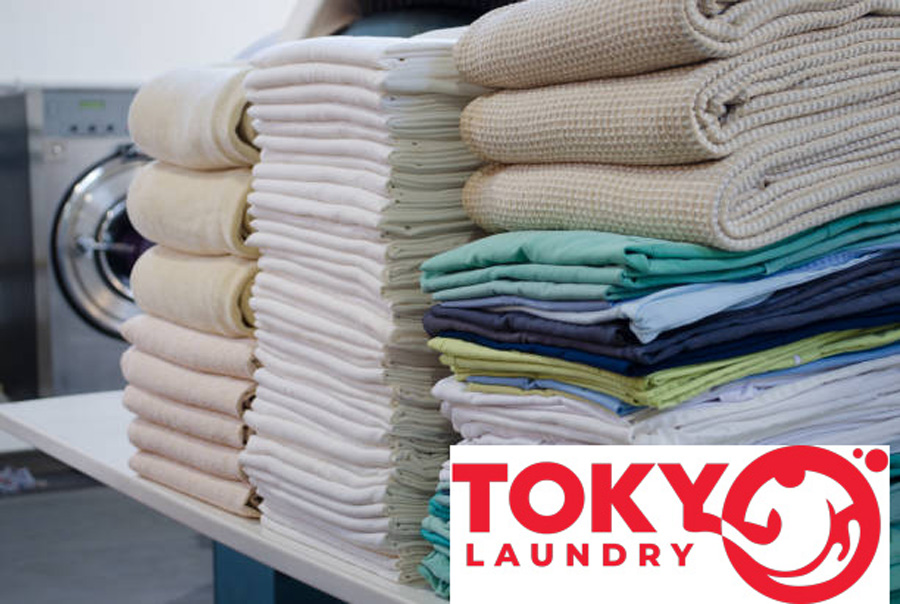 Đa dạng các dịch vụ giặt là