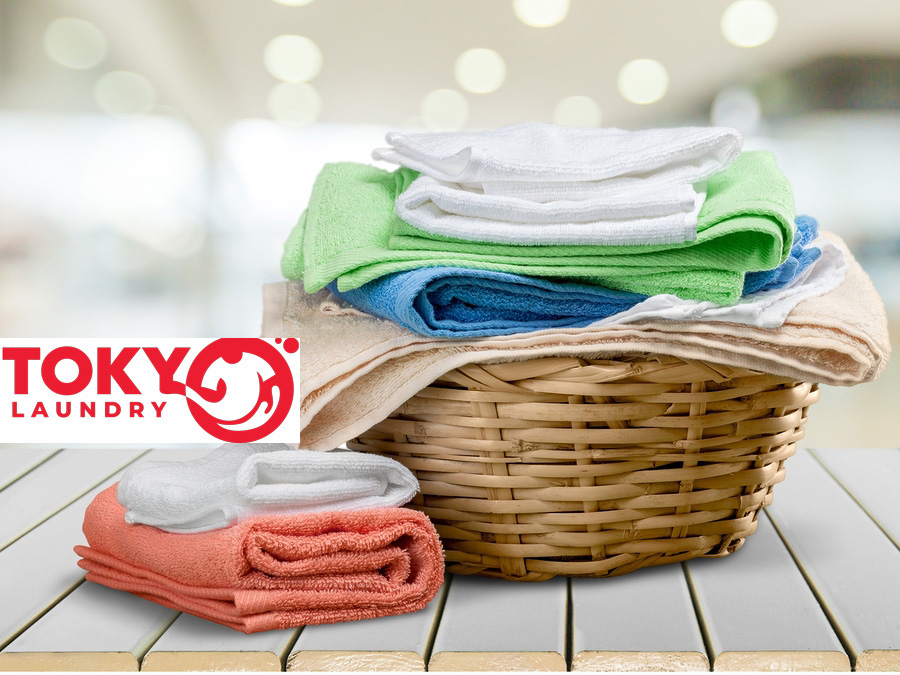 giặt là tại Cửa Bắc chuyên nghiệp