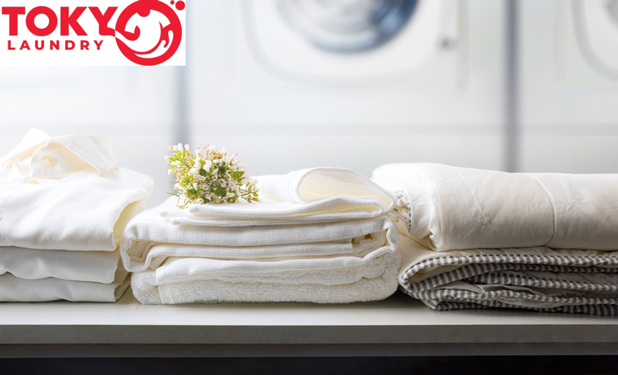 Giặt là tại Liễu Giai giá tốt