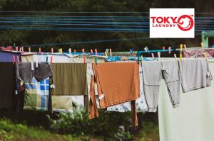 Quần áo và chăn ga sạch sẽ được phơi khô tự nhiên tại giặt đồ gần đây Lê Văn Thiêm